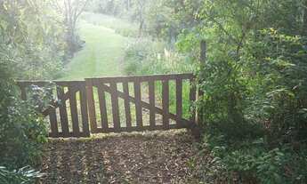 Imagem 6: Sitio 1.5 hectare com lago, pertinho de Gramado