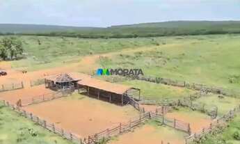 Imagem 6: FAZENDA À VENDA - 4.000 HECTARES - JAÍBA (MG