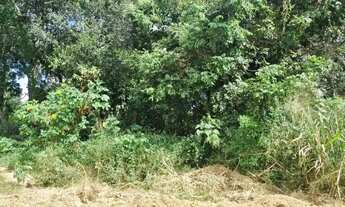 Imagem 7: Venda Terreno Recanto dos Angicos