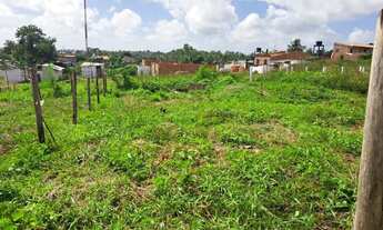 Imagem: Lotes Pq Jaguarema Araçagy