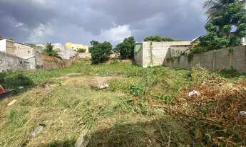 Imagem 2: Exclusiva Oportunidade de Investimento Bairro Dom Aquino