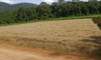 Imagem 3: Terreno barato com doc em dia e acesso bom