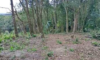 Imagem 6: Terreno para sítio e ou Clube