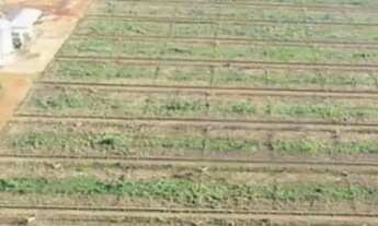 Imagem 2: Fazenda à venda, Area Rural de Jussara - JUSSARA/GO