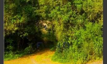 Imagem 5: Vendo chácara - terreno 2 alqueires - Campo Largo