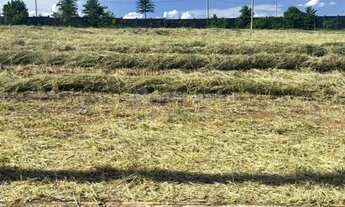 Imagem 2: Excelente Terreno em Condomínio para Venda com 405m² - Jardim Vitagliano