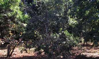 Imagem 6: Chácara à venda no bairro Sítios de Recreio dos Bandeirantes em Goiânia/GO