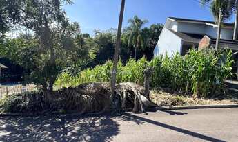 Imagem 2: Imóvel no Concórdia, Ivoti