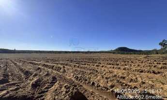 Imagem 3: Fazenda de 605 hectares à venda - Ibaté