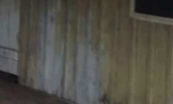 Imagem 4: Fazenda 3.750 hec em Lucialva MT. 200 hec abertos, 20 milhões