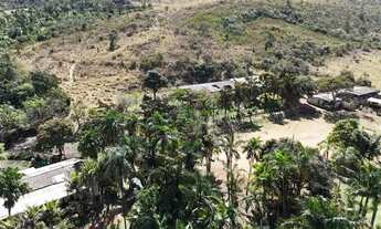 Imagem 4: Fazendinha a venda com exclusividade em Brazlândia/DF com 70 hectares