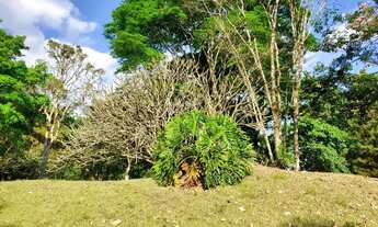 Imagem 7: Sítio em Rodovia Capitão Barduíno - Curitibanos - Bragança Paulista/SP