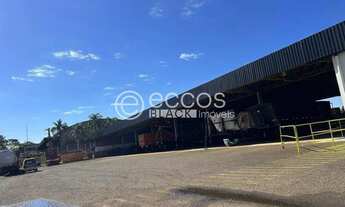 Imagem 6: Área à venda, Distrito Industrial - Uberlândia/MG