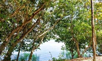 Imagem 2: VENDO LINDA CHACARA