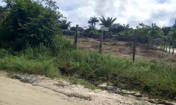 Imagem 2: Terreno no Puraquequara 4 lotes juntos