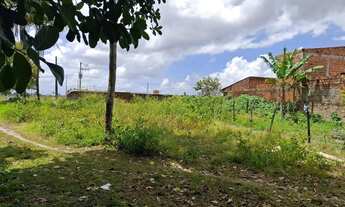 Imagem 2: Ótimo Terreno em Rio Largo