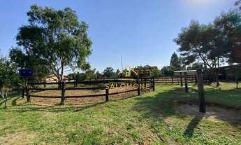 Imagem 4: Salomone vende Sítio rústico com galpões