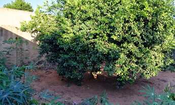 Imagem 4: Troco esta casa no nova lima por casa na estrela do sul