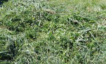 Imagem 5: Terreno Parque das Águas Várzea Grande