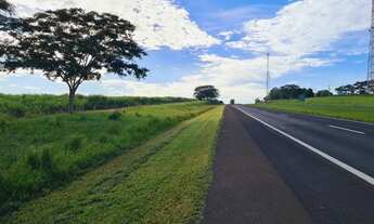 Imagem: 51alqueires arrendamento 80 ton/alq, frente