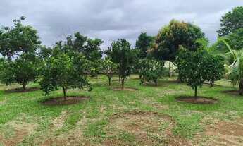 Imagem 4: Chacara de 24.000 mil m² na ponte alta sul, chacara na ponte alta de cima 24 mil metros ²