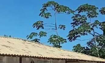 Imagem 2: APARTARTAMENTO 2/4 , COND COM INFRAESTRUTURA em Caixa D'Água - Lauro de Freitas - BA