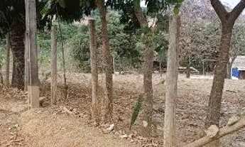 Imagem 7: Vendo um lote em Brazlândia DF