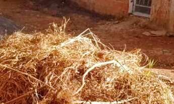 Imagem 5: Lote 26 de setembro