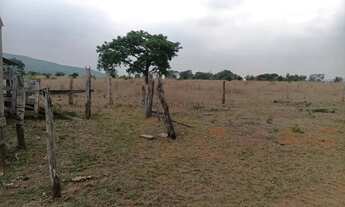 Imagem 3: Sitio com 29 hectares na região do capão verde