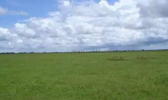 Imagem: FAZENDA À VENDA PANTANAL MATO-GROSSENSE