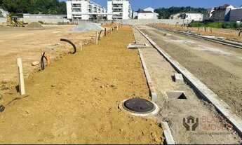 Imagem 3: LOTE TANGARÁS PRIVILEGE