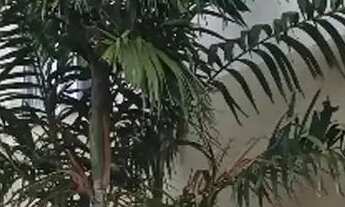 Imagem 2: Apartamento 2 dormitórios 1 vaga, piscina á venda, parque dos pinus - ribeirão preto - sp