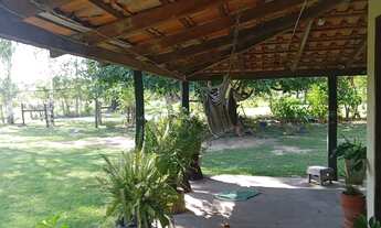 Imagem 4: VENDO!!! Um sítio de 20 hectares com ótima logística na região da cidade de Rosa