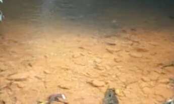 Imagem 5: Vende-se uma excelente chácara localizada no girassol , aceito carro em negócio