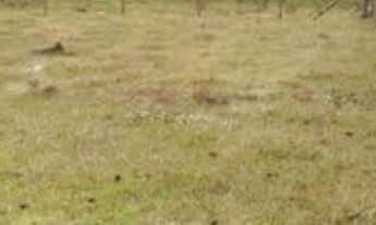 Imagem 4: Terreno 750 mts quadrados .próximo a praia do Ouvidor