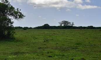 Imagem 3: Fazenda de 90 alqueires em Flexeiras (Quissamã)