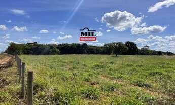 Imagem 4: Chácara 7.74 alqueires ( 37.5 hectares ) Bela Vista de Goiás - GO