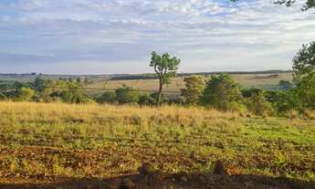 Imagem 7: Fazenda 15 alqueires em Anápolis - GO