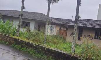 Imagem 4: Excelente terreno no Saguaçu região central da cidade 500 metros da Rua Dona Francisca