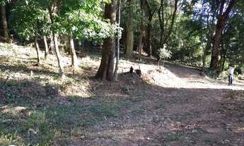 Imagem 4: Fazenda/Sítio/Chácara para venda possui 14000 metros quadrados em Centro - Bueno Brandão