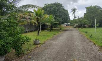 Imagem 5: Chácara maravilhosa em Aldeia, rua asfaltada, toda aproveitável, documentação ok!