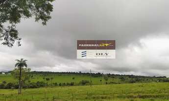 Imagem 7: Fazenda Extra ! Região de São Luis de Montes Belos ! 1 Alqueire !