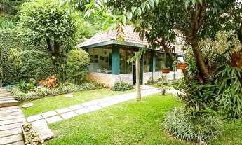 Imagem 4: Lot. Vale da Lua, local dos Eucalipto e araucária