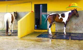Imagem 5: Terreno à venda Residencial Haras Guancan - Granja Viana SP