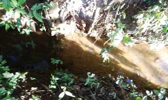 Imagem 2: Fazenda/Sítio/Chácara para venda possui 14000 metros quadrados em Centro - Bueno Brandão