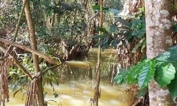 Imagem 3: Sítios/chácara/Fazendas