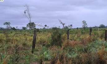 Imagem 5: FAZENDA À VENDA EM BREU BRANCO - PA 1.377 HECTARES (DUPLA APTIDÃO