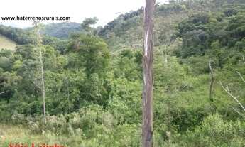 Imagem 4: Sítio da Lajinha 16 Hectares - Sítio Carvalhos 25.000 m²