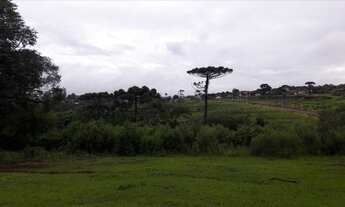 Imagem 5: Vendo área na BR277 região do lago em Cascavel PR