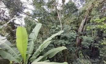 Imagem 6: FLORIANóPOLIS - Kitchenette/Studio - Carvoeira